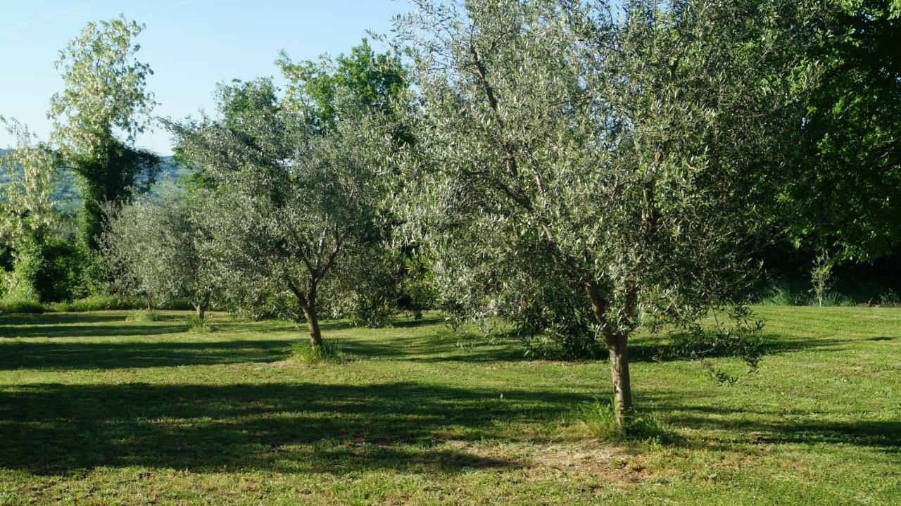 Agriturismo Poggio San Pietro Pitigliano Exteriör bild