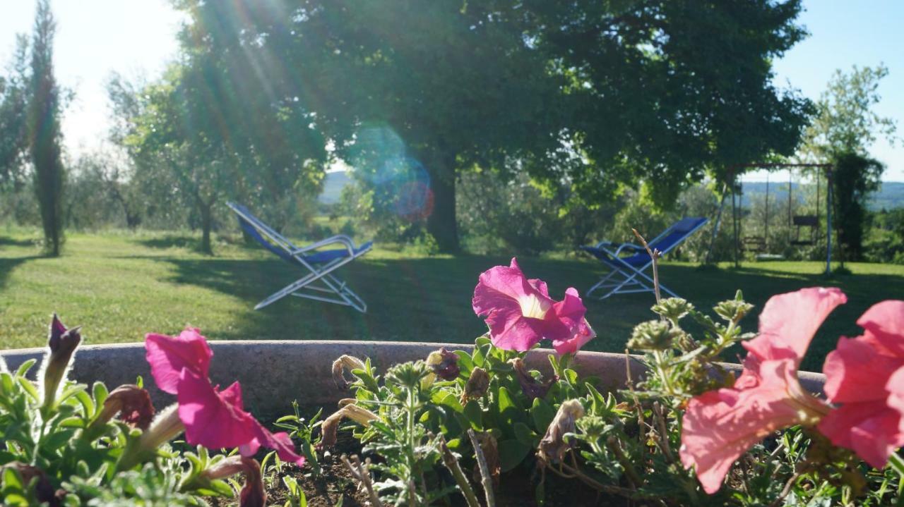 Agriturismo Poggio San Pietro Pitigliano Exteriör bild